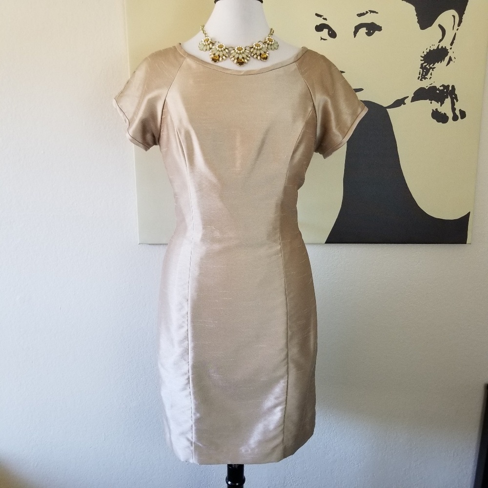 SOLD! Andrew Adela Cappucino Dress 14 (NWOT)